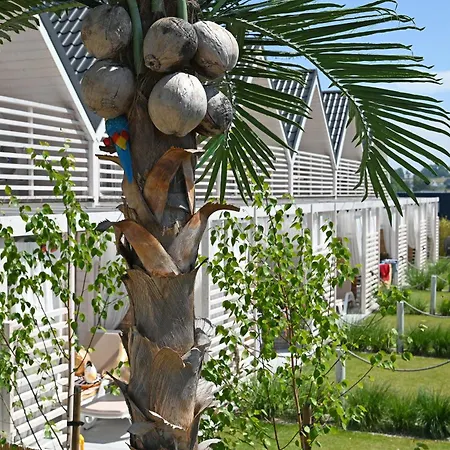 Kopan Kabana * ダルウォボ