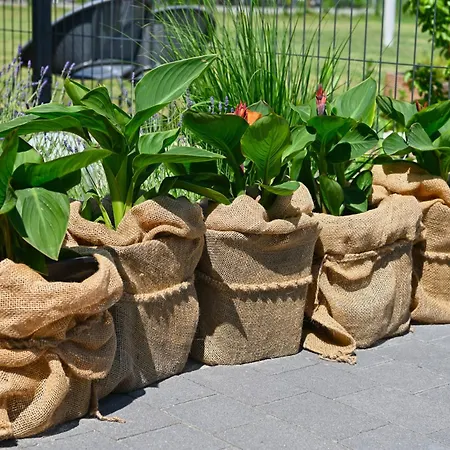 Kopan Kabana * ダルウォボ