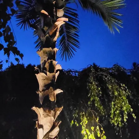 ロッジ Kopan Kabana ダルウォボ