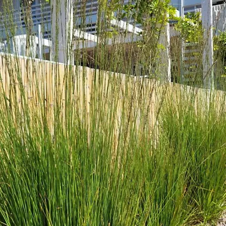 Chata Kopan Kabana *