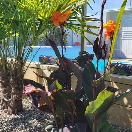 Kopan Kabana ロッジ