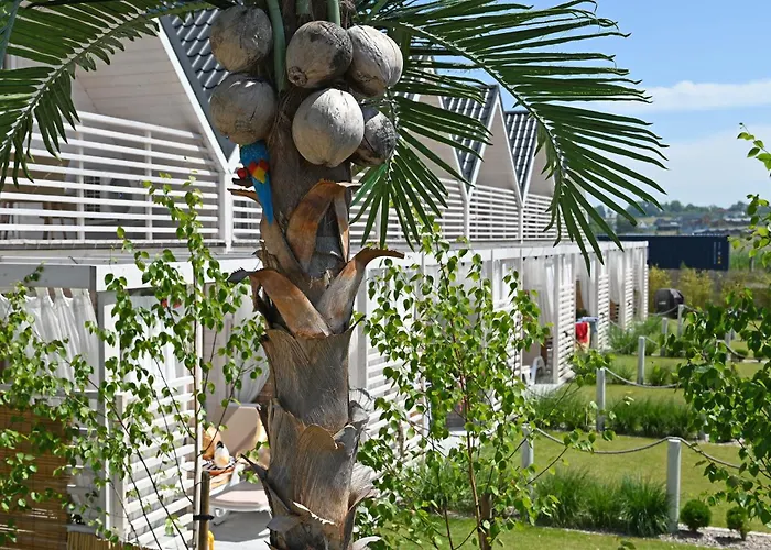 Kopan Kabana * ダルウォボ