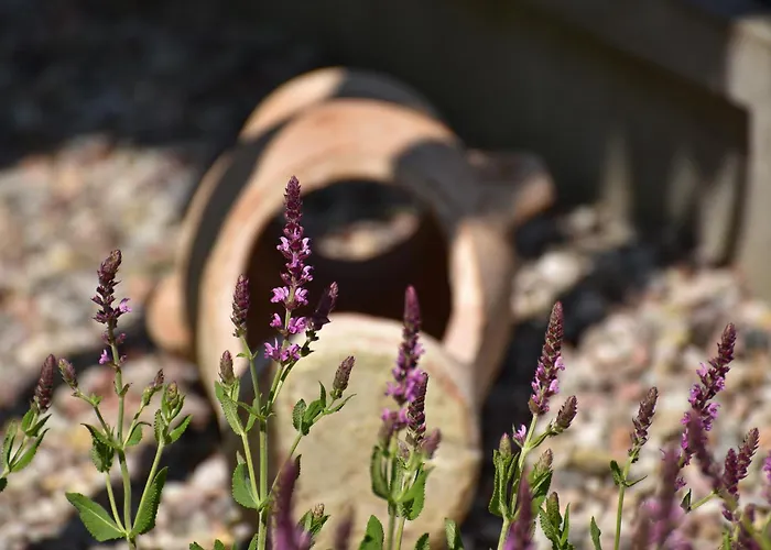 Kopan Kabana ロッジ