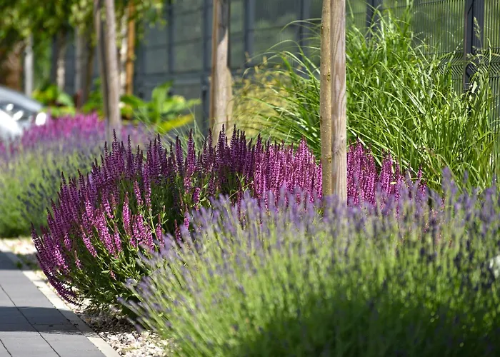 Kopan Kabana * ダルウォボ