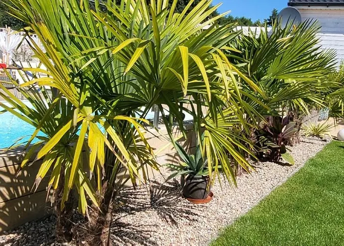 Kopań Kabana Domek letniskowy Darłowo