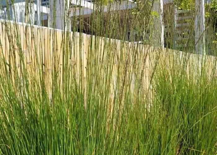 ロッジ Kopan Kabana *