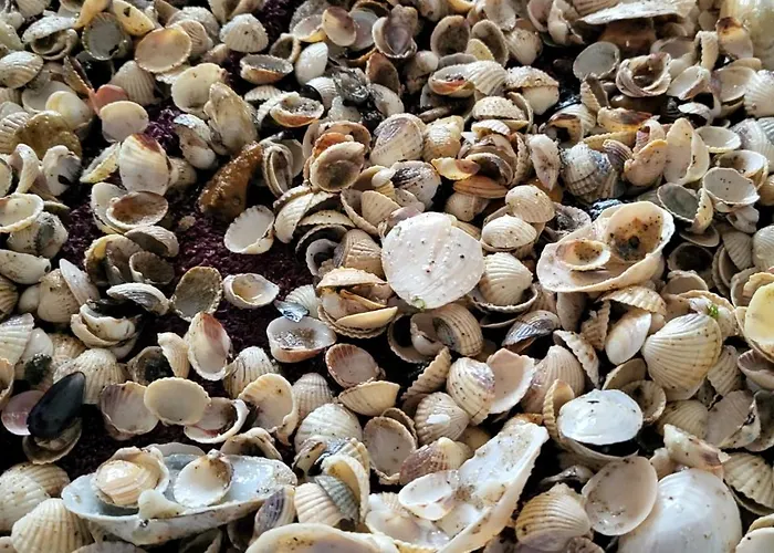 ロッジ Kopan Kabana