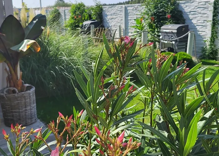 Kopań Kabana * Darłowo